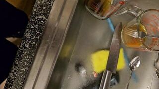 Quick piss on the dirty dishes - porn video
